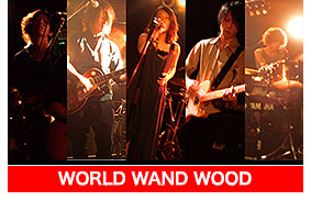 WORLD WAND WOOD